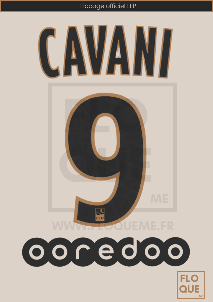 FLOCAGE LIGUE 1 - Psg Paris Saint-Germain Third - Di Maria #11 - Monblason 2019 EUR 16,00